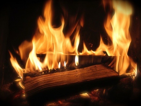 fire wood firewood fireplace 22254